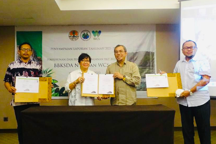 Kepala Balai Besar KSDA NTT Arief Mahmud menjelaskan, terdapat 35 danau di Kabupaten Rote Ndao yang menjadi habitat kura-kura rote. Namun pada tahun 2005 tercatat hanya sembilan danau yang masih menjadi habitat spesies ini.