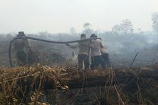 Cegah Karhutla, BNPB Tambah 2 Helikopter untuk Riau