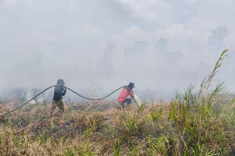 Paser Catat 921,8 Hektare Lahan Terbakar, Cagar Alam Teluk Adang Termasuk!