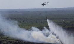 Karhutla Indonesia 2025 Capai 359.000 Hektar, Ini 7 Provinsi yang Rawan