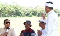 Kinerja Bulog Saat Panen Raya Diapresiasi Presiden Prabowo, Gubernur Dedi Mulyadi: Ini Sejarah