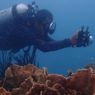 Diving Tanpa Perlu Sertifikat Menyelam, Apa Bisa?