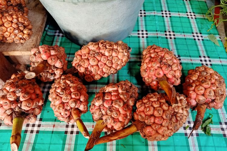 Asam cekala atau buah kecombrang muda yang biasa digunakan pada masakan Karo dan Medan.