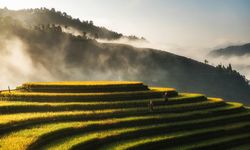 Petani Bali Manfaatkan Eco Enzyme untuk Pertanian Organik, Lebih Hemat dan Ramah Lingkungan