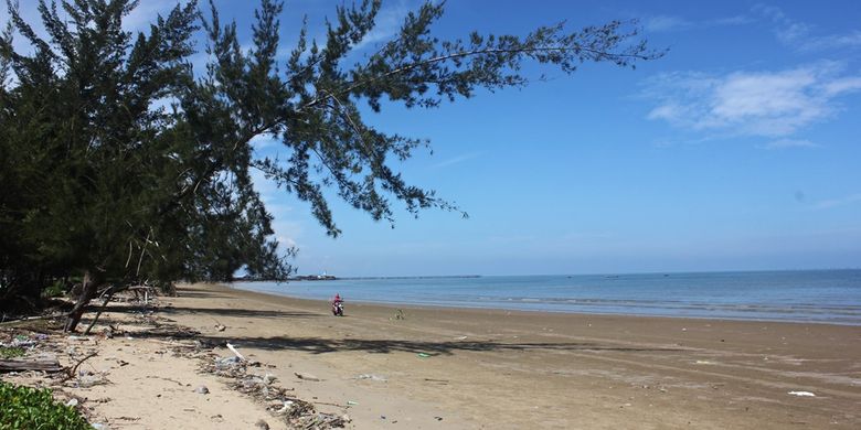 Pohon Kayu Angin di Pantai Kayu Angin, Nunukan, Kalimantan Utara mulai condong terdampak abrasi pantai.