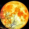 Saksikan Gerhana Bulan Total 26 Mei 2021 di www.bmkg.go.id/gbt