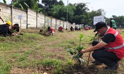 Aksi Nyata FKS Food Sejahtera, Konservasi Pohon Langka untuk Lingkungan Berkelanjutan
