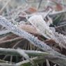 Suhu Dieng Minus 1 Derajat Celsius, Embun Es Kembali Muncul