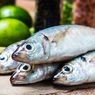 Cara Menyimpan Ikan Mentah di Kulkas