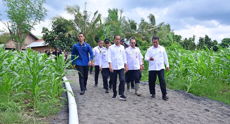 Jokowi: IKN Akan Jadi Titik Pertumbuhan Ekonomi Baru...