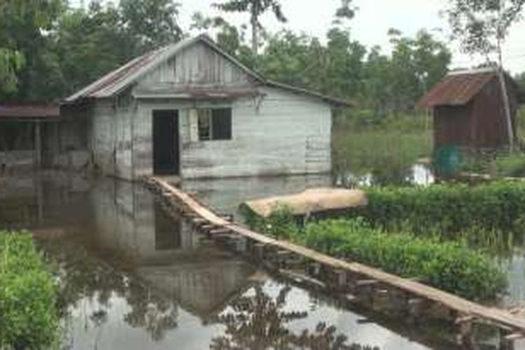 Salah satu rumah warga di Desa Transmigrasi KTM Sungai Rambutan yang terendam banjir. Warga terpaksa membuat jembatan sementara dari papan agar bisa keluar rumah