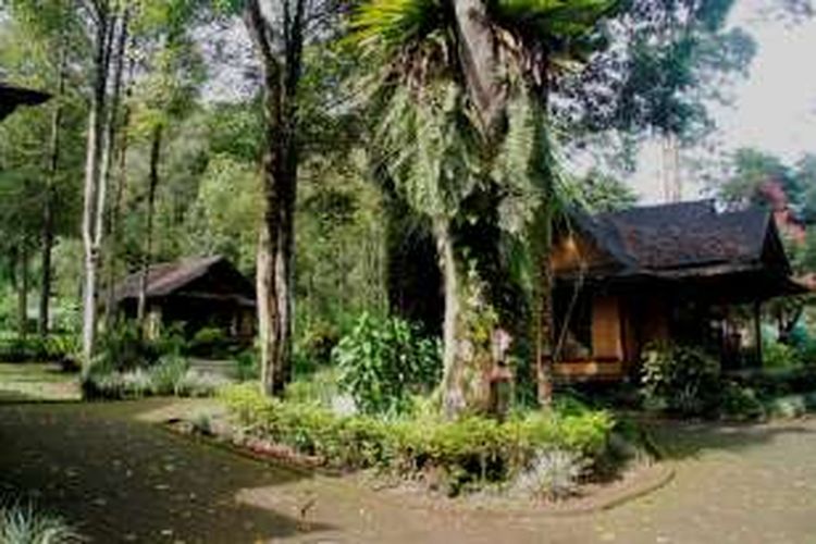 Cari Penginapan Di Taman Wisata Alam Cimanggu Coba Cottage Ini