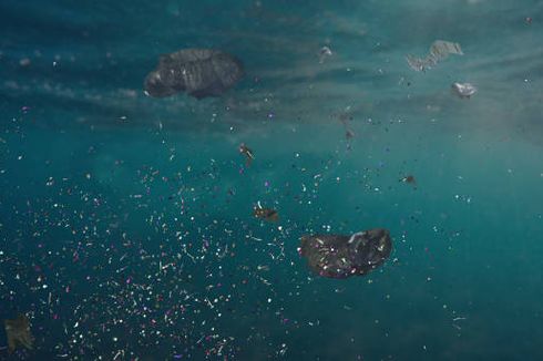 Ahli Kembangkan Robot Ikan untuk Atasi Polusi Mikroplastik di Laut