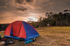 11 Kegiatan Wisata di Puncak Halimun Camp, Bisa Dengar Suara Owa Jawa
