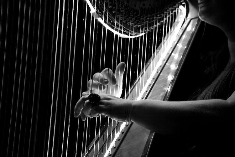 Harpa adalah contoh alat musik kordofon.