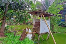 Tak Memadainya Sistem Sanitasi di Kampung Cirompang Tangsel, Dulu Pakai Jamban Apung, Kini WC Tanpa Septic Tank