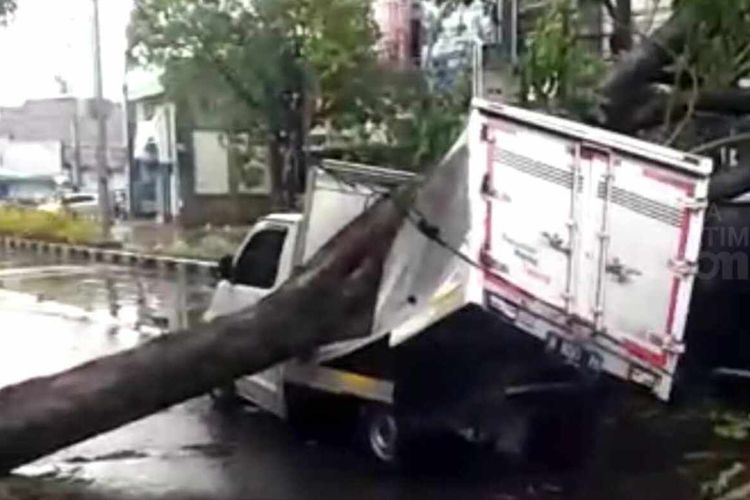 Mobil Box Terlihat Terimpa Pohon di Jalan Majapahit Sidoarjo, Sabtu (19/3/2022).