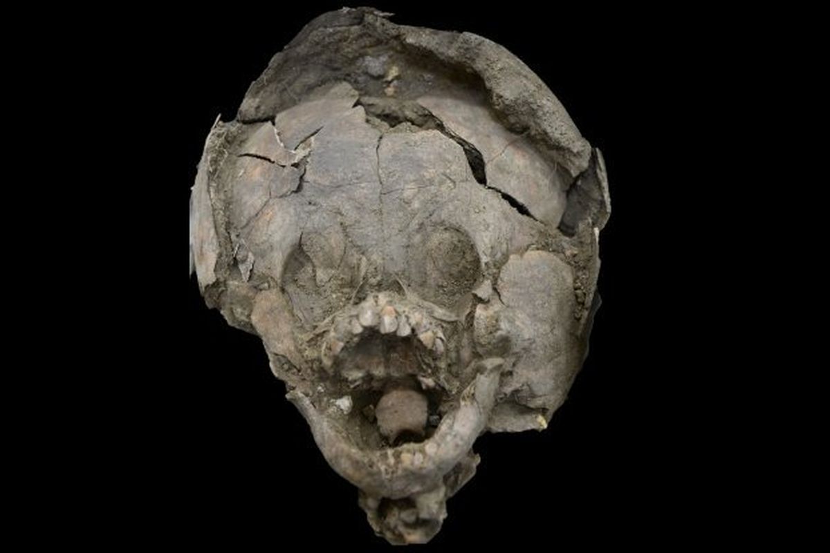 Peneliti temukan bayi di situs pemakaman kuno yang kenakan helm terbuat dari tengkorak. 