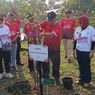 Ambisi Besar Otorita IKN, Kembalikan Alam Borneo Lewat 5 Juta Pohon