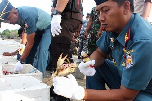 Ribuan Kepiting Hasil Sitaan Dilepasliarkan