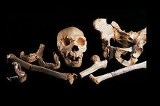 Ditemukan, DNA Manusia Tertua Berusia 400.000 Tahun