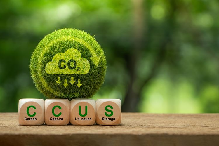 Ilustrasi penangkap dan penyimpan karbon.