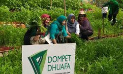 Jakarta Hajatan ke-495, Dompet Dhuafa Gelar Panen Raya Kebun Sehat di Kebayoran Lama