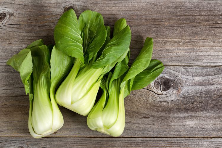 Ilustrasi bok choy