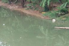 Banyak Ikan di Kali Bekasi yang Mati karena Air Tercemar