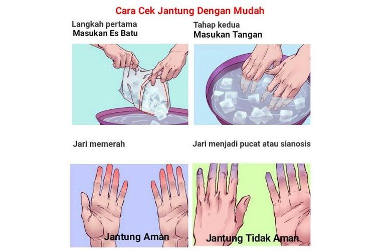 Ilustrasi cara cek jantung dengan mudah yang menjadi viral.