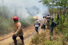 Lahan Tebu Siap Panen Seluas 4 Hektar di Lumajang Terbakar