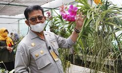 Mentan SYL Optimistis Indonesia Jadi Eksportir Besar Tanaman Tropis