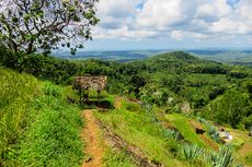 3 Kuliner Ekstrem di Gunungkidul Yogyakarta, Salah Satunya Tawon Goreng...