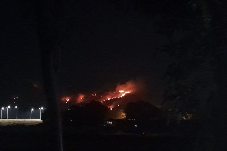 2 Hari Kebakaran Lahan Terjadi di Bukit Area Tol Situbondo dan Probolinggo