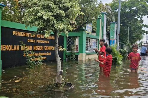 Waspadai Leptospirosis, Infeksi Bakteri Mematikan dari Kencing Tikus