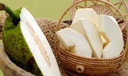 Belajar dari Sukun Kukus: Menguatkan Ketahanan Pangan lewat Keanekaragaman