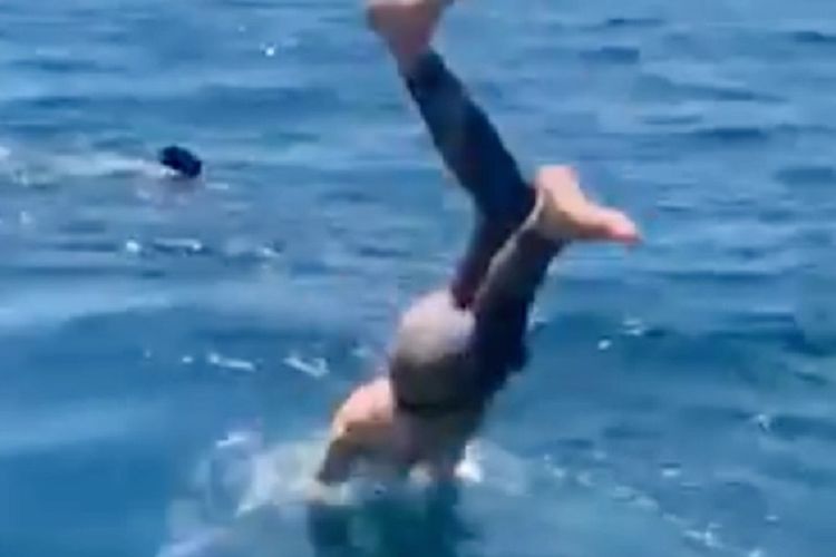 Potongan video yang viral memperlihatkan seorang pria meloncat ke air bersama sirip yang diduga adalah seekor hiu putih besar.