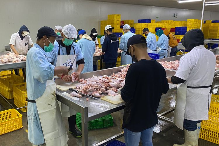 Hingga saat ini, Chickin telah memampukan ribuan peternak dalam menghasilkan lebih dari 31 juta populasi ayam yang diharapkan mampu memberikan pasokan daging ayam berkualitas baik untuk kebutuhan pangan nasional.