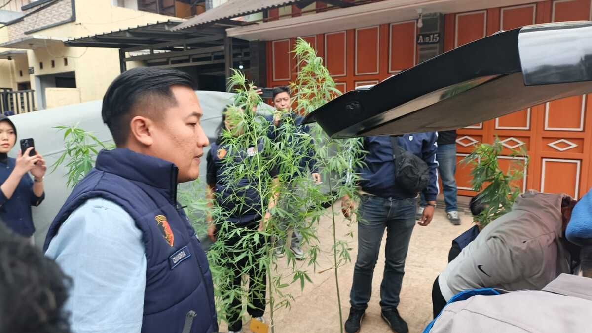 Ministry of Public Works Employee Grows Marijuana at Home, Uses It Personally and Shares with Colleagues