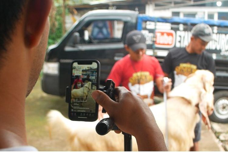 Asrul pasarkan kambing etawa via live streaming
