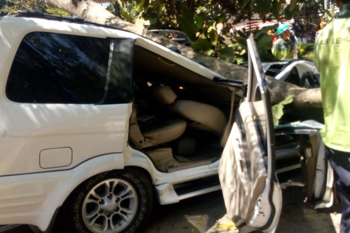 Sebuah mobil tertimpa pohon saat sedang terparkir di halaman Universitas Pancasila, Rabu (21/8/2019).