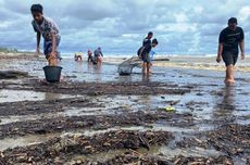 Berulang Kali Terjadi, Tumpahan Batu Bara Kotori Pantai di Aceh