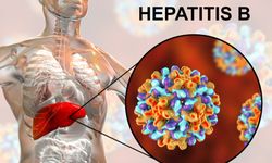 Apakah Hepatitis B Bisa Sembuh? Berikut Penjelasannya…