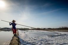 Dijuluki Pulau Garam, Ini Hasil Produksi Garam di Madura