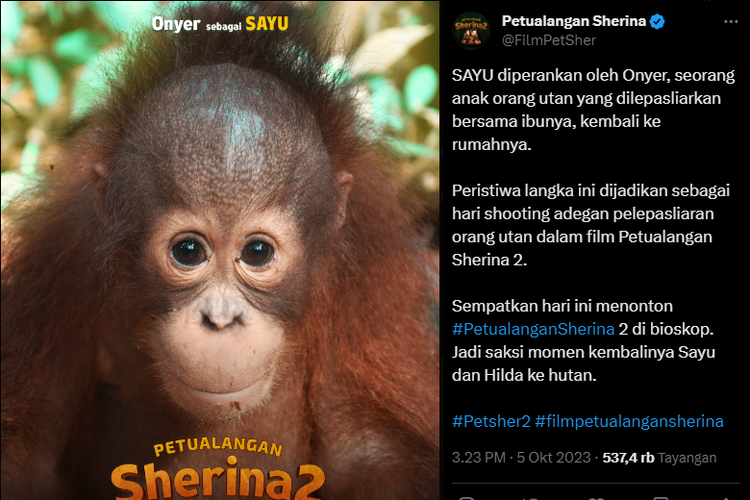 Orangutan bernama Onyer yang memerankan Sayu di film Petualangan Sherina 2.