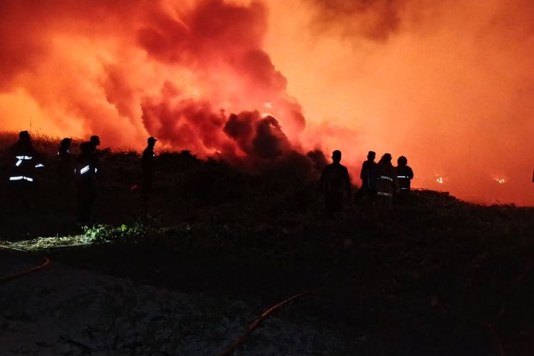 Karhutla, Ketua DPD: Kejahatan Ekologi Harus Ditindak Tegas