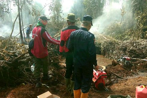 Polisi Kembali Tangkap Pembakar Hutan di Pekanbaru