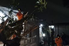 Sekolah Rakyat di Kalteng Baru Berjalan di Empat Daerah, Dinsos: Daerah Lain Masih Proses Verifikasi