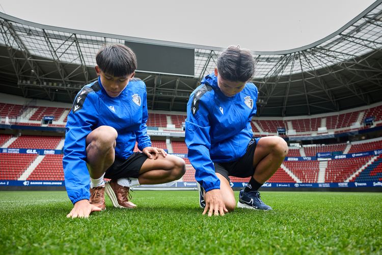Profesi yang Jarang Disorot: Para Ahli Rumput di Balik Kesuksesan Piala Dunia