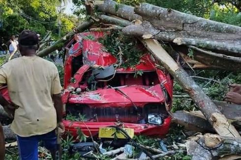 Mobil Angkot Rusak Berat Tertimpa Pohon, Sopir dan Penumpang Selamat